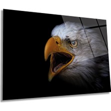 Karizma Kartal Hayvan Portresi Yatay Cam Tablo, Ev ve Ofis Duvar Dekoru, Lüks Hediyelik