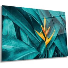 Cennet Çiçeği Yatay Cam Tablo, Doğa, Ev ve Ofis Duvar Dekoru, Lüks Hediyelik