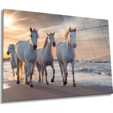 Beyaz Atlar Hayvan Portresi Yatay Cam Tablo, Ev ve Ofis Duvar Dekoru, Lüks Hediyelik