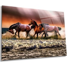 Kumsalda Atlar Hayvan Portresi Yatay Cam Tablo, Ev ve Ofis Duvar Dekoru, Lüks Hediyelik