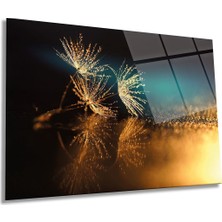 Su Damlalı Karahindiba Yatay Cam Tablo, Ev ve Ofis Duvar Dekoru, Lüks Hediyelik