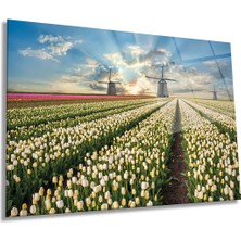 Lale Manzarasında Değirmenler Yatay Cam Tablo, Ev ve Ofis Duvar Dekoru, Lüks Hediyelik