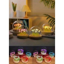 Luxury Cam Lale Fanus LED Işıklı Ahşap Tabanlı Pilli Mini Dekoratif Gece Lambası Romantik Hediyelik