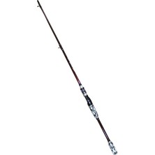 Shanghai Iki Uçlu Karbon Spin Kamış