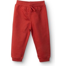 Hellobaby Erkek Eşofman Alt Erkek Bebek