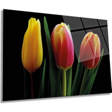 Kırmızı Sarı Laleler Yatay Cam Tablo, Doğa, Ev ve Ofis Duvar Dekoru, Lüks Hediyelik