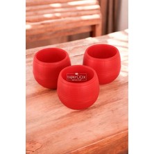 Mini Kaktüs Sukulent Saksısı 3lü Set Kırmızı Elvan Model 12.5 cm 1.3 Litre