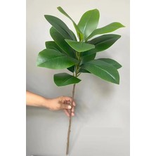 Yapay Çiçek Deposu Kauçuk Bitkisi Dalı 85 cm Saksısız Kullanıma Uygun