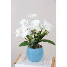 Yapay Islak Orkide 7li Tanzim Saksılı 35 cm Beyaz