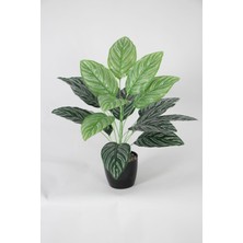 Yapay Dua Bitkisi 18 Yapraklı Siyah Saksıda 65 cm Yeşil-Beyaz