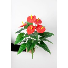 Yapay Salon Çiçeği Antoryum Bitkisi 60 cm