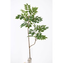 Yapay Ağac Wisteria (Akasya) Bitkisi 2 Dallı 105 cm (Saksısız) Yeşil