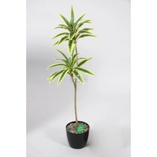 Yapay Ağac Dracena 2 Dallı Gerçek Dokulu 90 cm
