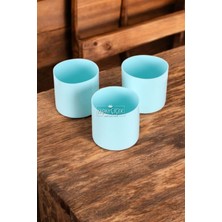 Mini Kaktüs Sukulent Saksısı 3lü Set Turkuaz Trend Model 10 cm
