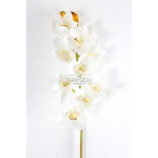 Yapay Islak Dokulu 10 Kandilli Singapur Orkide Çiçeği 75 cm Beyaz