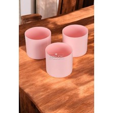 Mini Kaktüs Sukulent Saksısı 3lü Set Pembe Trend Model 10 cm