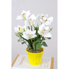 Yapay Islak Singapur Orkide 7li Tanzim Saksılı 35 cm Beyaz