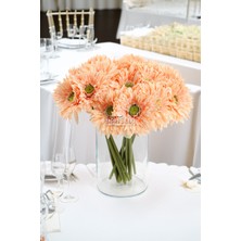 Yapay Çiçek 6lı Kaliteli Saçaklı Iri Gerbera Buketi Somon