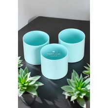 Mini Kaktüs Sukulent Saksısı 3lü Set Turkuaz Trend Model 8 cm