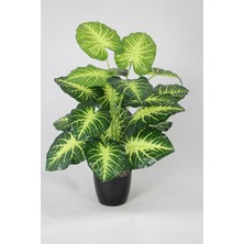 Yapay Difenbahya Ağacı 18 Yapraklı Siyah Saksıda 80 cm Yeşil-Sarı