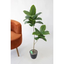 Yapay Ağac Kauçuk Bitkisi 2 Dallı 105 cm