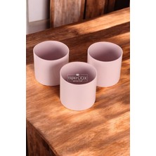 Mini Kaktüs Sukulent Saksısı 3lü Set Pastel Pembe Trend Model 10 cm