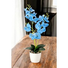 Dekoratif 3lü Yapay Islak Orkide Tanzimi Mavi 50 cm