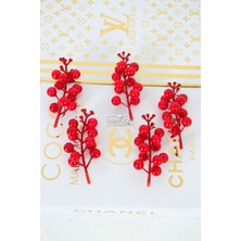 Yapay Kafa Külah Kokina Yeni Yıl Süsü 11 cm 5li Paket