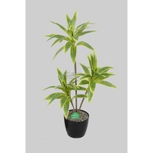 Yapay Ağac Dracena 3 Dallı Gerçek Dokulu 75 cm