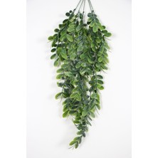 Sarkan Yapay Sedef Bitkisi 75 cm Yeşil Yeşil