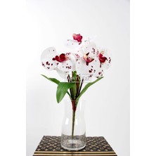 Yapay 7 Dallı Islak Dokulu Orkide Demeti 40 cm Bordo Benekli