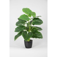 Yapay Difenbahya Ağacı 18 Yapraklı Siyah Saksıda 80 cm Koyu Yeşil