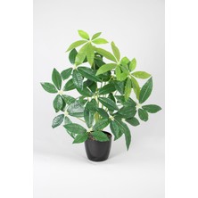 Yapay Pachira Ağacı 18 Yapraklı 80 cm