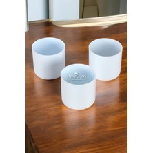 Mini Kaktüs Sukulent Saksısı 3lü Set Soft Mavi Trend Model 8 cm