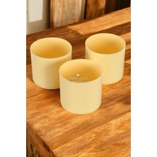 Mini Kaktüs Sukulent Saksısı 3lü Set Sarı Trend Model 10 cm