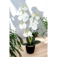 Dekoratif 3lü Yapay Islak Orkide Tanzimi Beyaz 50 cm