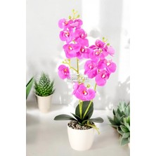 Dekoratif 3lü Yapay Islak Orkide Tanzimi Fuşya 50 cm