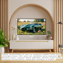 Otomobil Temalı Doğa Içinde Klasik Çerçevesiz Pvc Tablo 60X34 cm