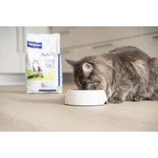 Adult Cat Salmon Neutered&entire 12 kg Yeni
