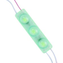 Powermaster 12 Volt 1.5 Watt Yeşil Yanıp Sönen Parlak Tek Renk 2835 69 x 16 mm IP65 160 – 180 Lümen 160 Derece Modül LED
