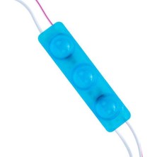 Powermaster 12 Volt 1.5 Watt Mavi Yanıp Sönen Parlak Tek Renk 2835 69 x 16 mm IP65 160 – 180 Lümen 160 Derece Modül LED