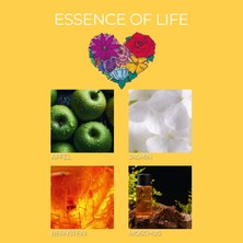 Frida Kahlo Essence Of Life Kokulu Mum