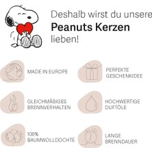 Peanuts Doğum Günün Kutlu Olsun Kokulu Mum