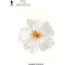 WeWeus Kadın Hawai Stili Beyaz Çiçek Premium Toka