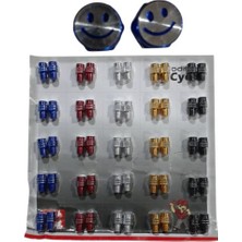 Ayna Vidası Gülücük Karışık Renk 10MM