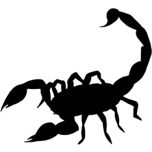 Akrep Sticker (Oto-Motor-Laptop-Duvar-Dekor) 10 x 9 cm