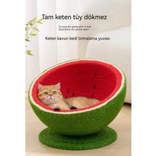 Karpuz Şekilli Çok Fonksiyonlu Kedi Tutucu Tırmanma Rafı (Yurt Dışından)