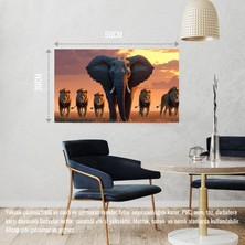 Fil ve Aslanlar Vahşi Doğada 04 Çerçevesiz 50X30 cm Pvc Tablo