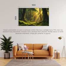 Doğa ve Manzara Yatay Ağaçlar Güneş Işıkları Derin Orman Yemyeşil Yosun Kaplı Zemin Uçan Kuşlar 02 Çerçevesiz 90X60CM Pvc Tablo