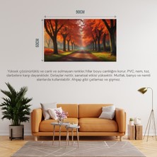 Doğa ve Manzara Yatay Sonbahar Ağaçlar Güneş Işığı 02 Çerçevesiz 90X60CM Pvc Tablo